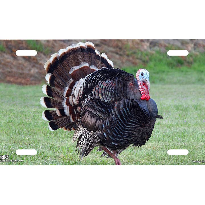 "Turkey" - Decorative License Plate for wholesale by Airstrike
