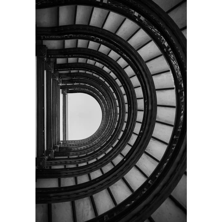 Rookery D kunstdruk voor wholesale door Christi Kraft Photography