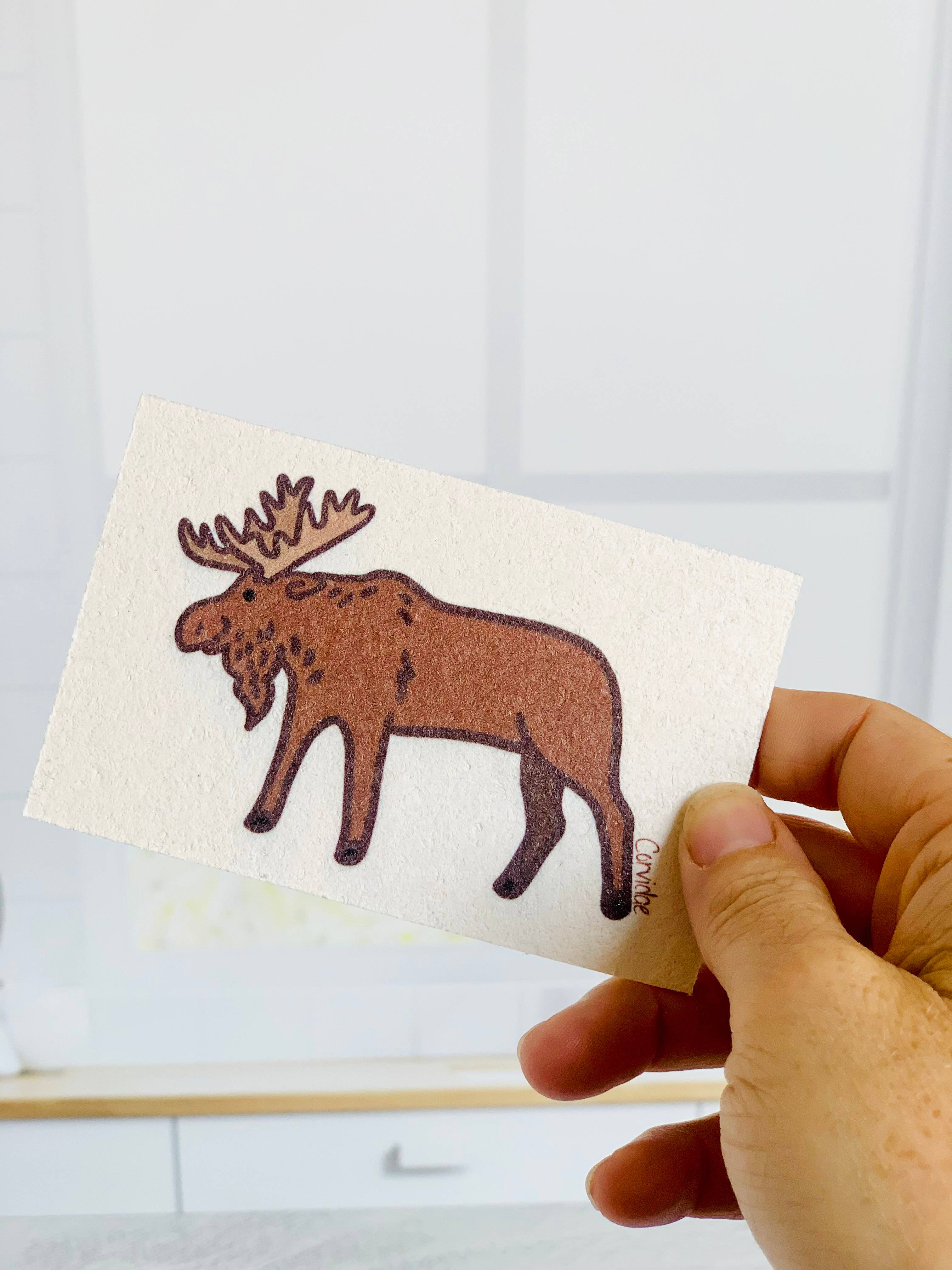 Corvidae drawings & designs – Engroshandel Rengøringssvamp – Bear Moose Bison Komposterbar Pop Up Sponge - sæt med 33