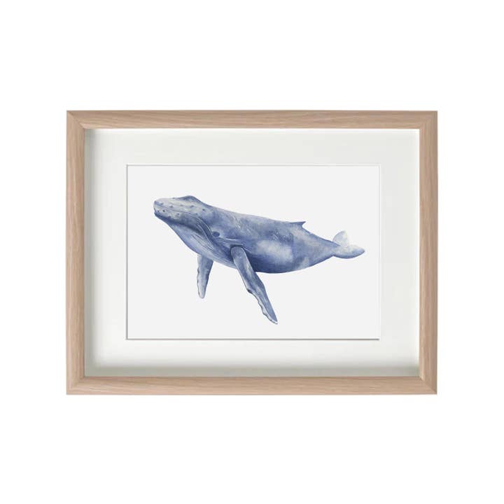 Whale Watercolour Print A3 for wholesale by Olicas Art and Design
