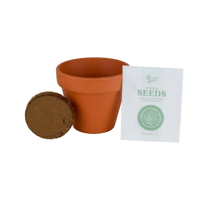 Buzzy, Inc. - Wholesale Plant Seeds - Buzzy Seeds Mini Terracotta Pot - Sunflower Grow Kit