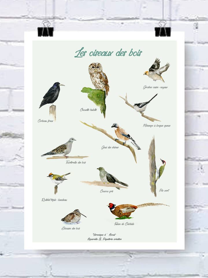 Poster De vogels van het bos voor wholesale door Véronique d'Avout