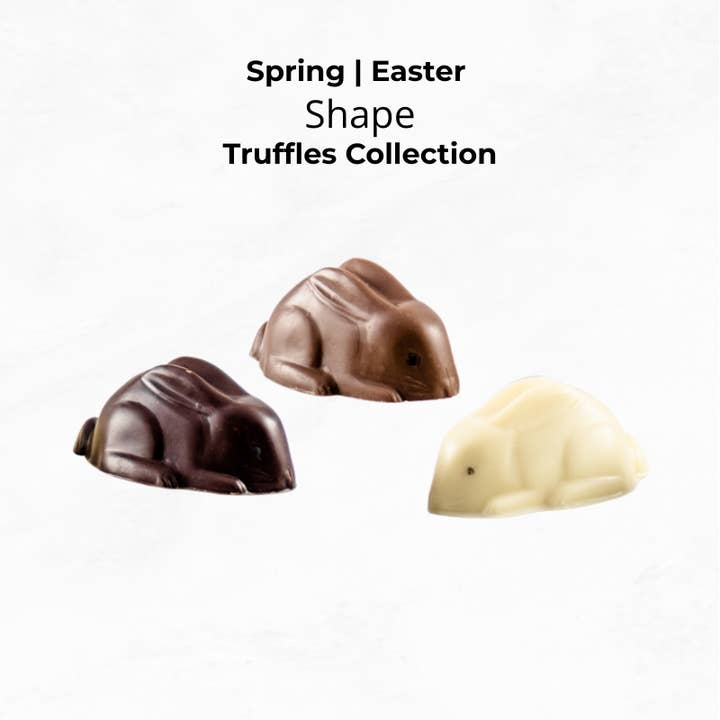 Spring & Easter Bunny Chocolate Truffles – 24 Count for wholesale by Le Grand Confectionary