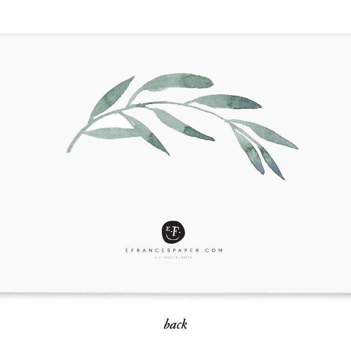 E. Frances Paper - Wholesale Stationery/Notecard Set - Olive Branch Little Notes®