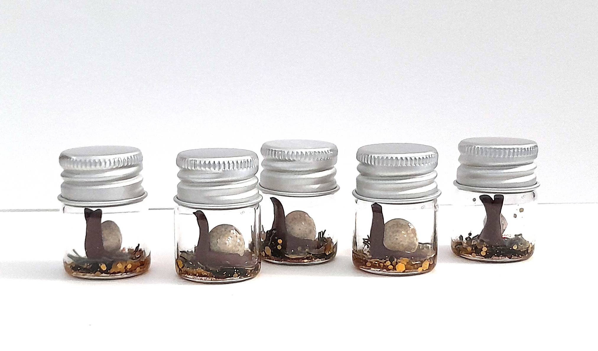 SUPERAWWWSOME - Wholesale Gag Gift/Novelty Gift - Snail Specimen Bottle, Dollhouse Miniature, nature gift jar3