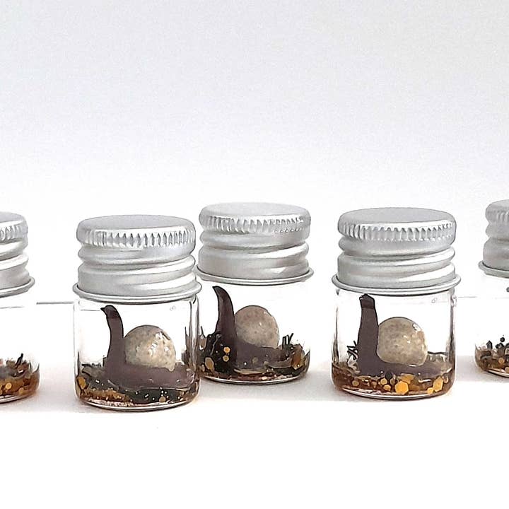 SUPERAWWWSOME - Wholesale Gag Gift/Novelty Gift - Snail Specimen Bottle, Dollhouse Miniature, nature gift jar3