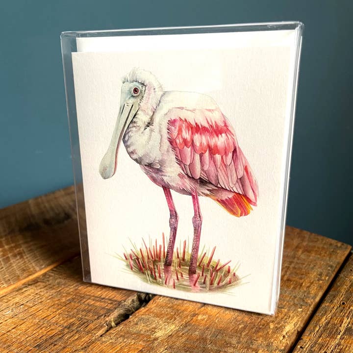 Roseate Spoonbill - Set of 4 Note Cards for wholesale by Amy Shawley Paquette