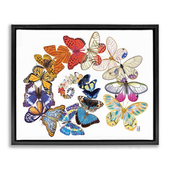 Flying Butterfly Spiral Floater Framed Art for wholesale by Stupell Industries