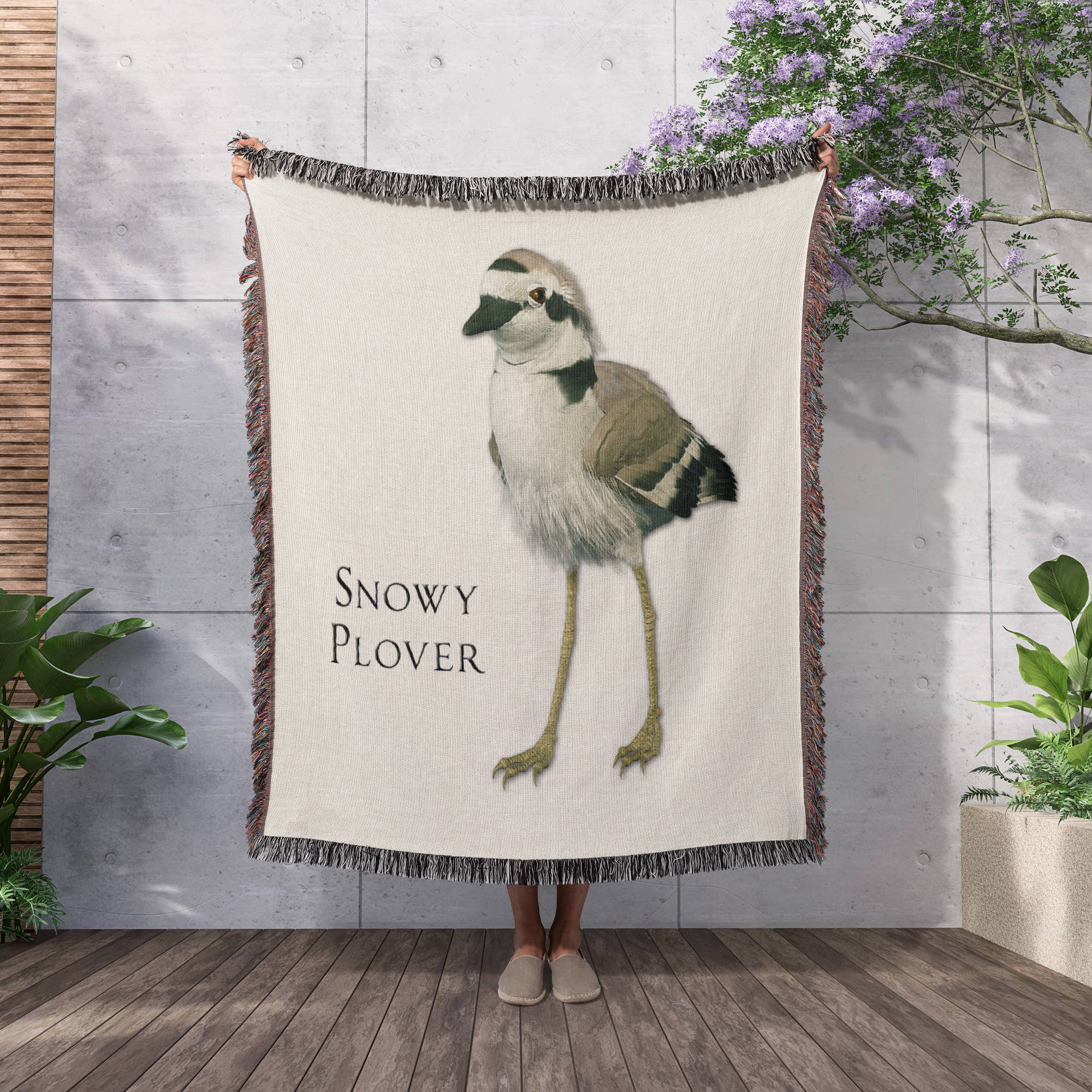 3dRose - Wholesale Throw Blanket - 3dRose, Snowy Plover Shorebird, Blanket2