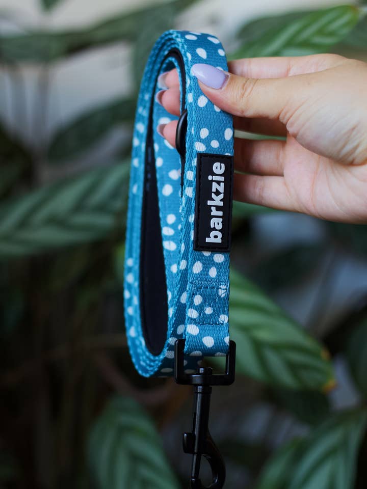 Leash - Nice for wholesale by barkzie