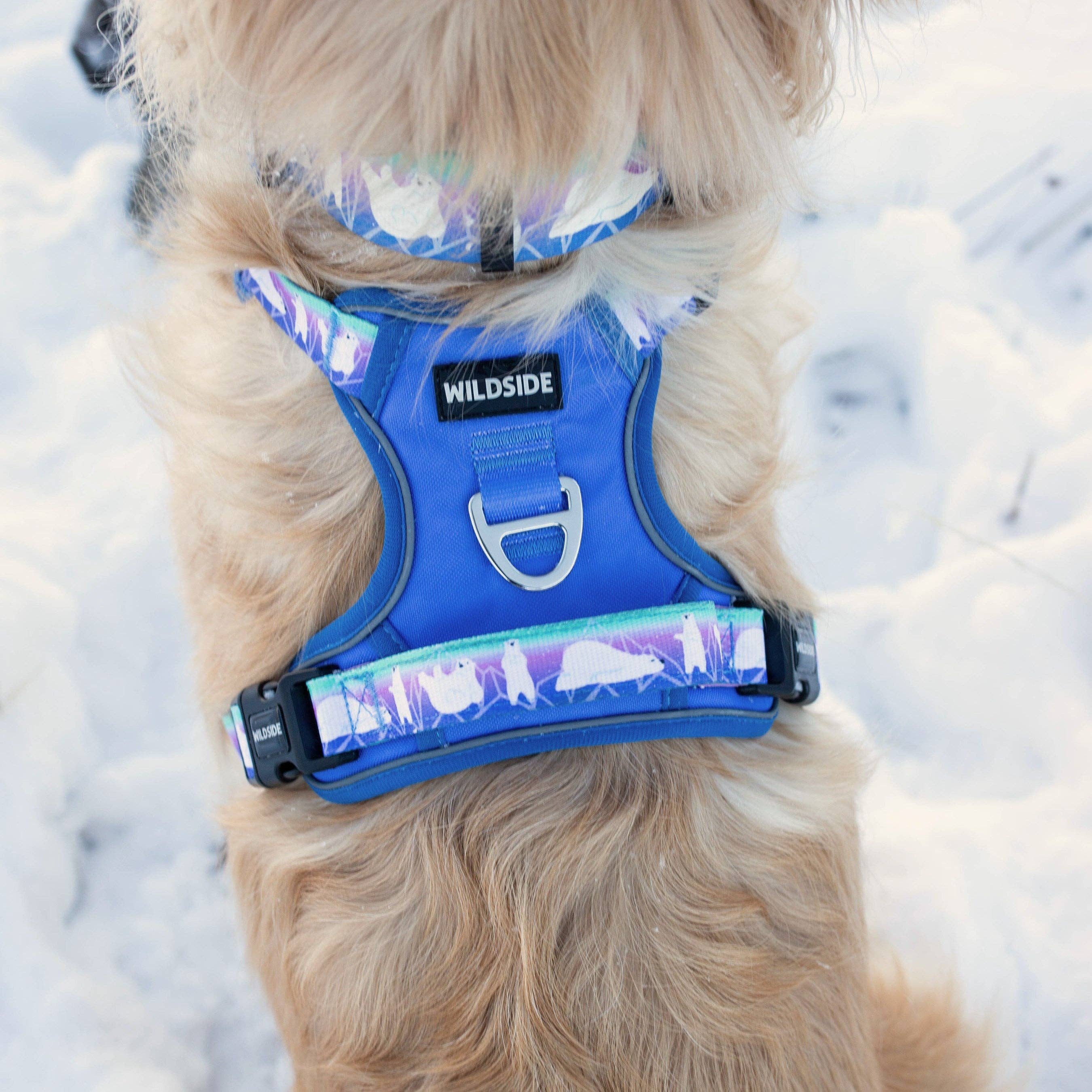 Wildside Dog Gear - Wholesale Pet Harness - Dog - Aurora Polar Bear Adjustable Dog Harness 5