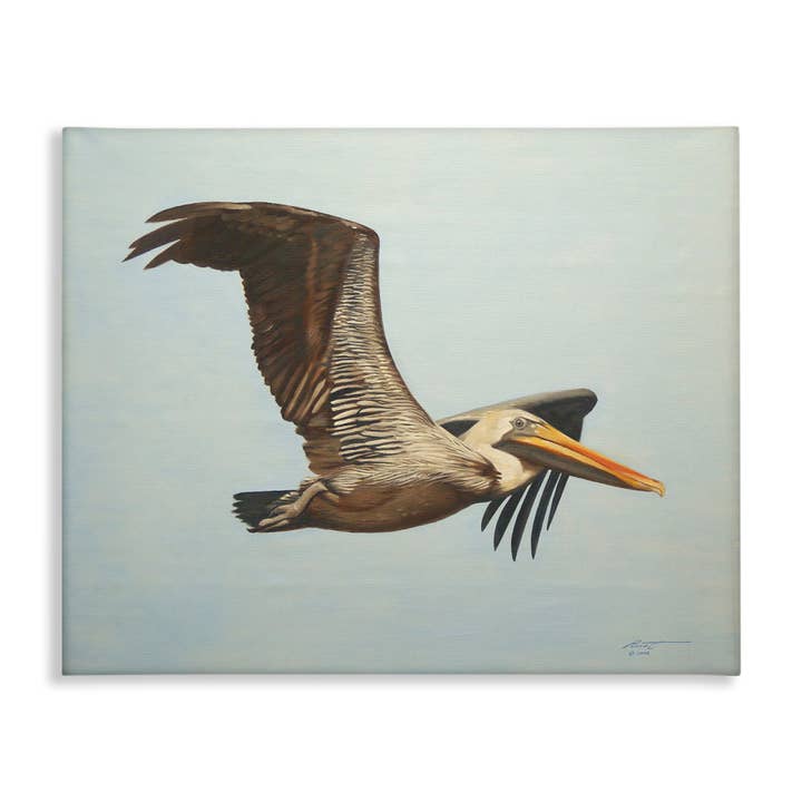 Stupell Industries - Wholesale Wall Sign - Brown Pelican in Flight - Unframed Wall Art8