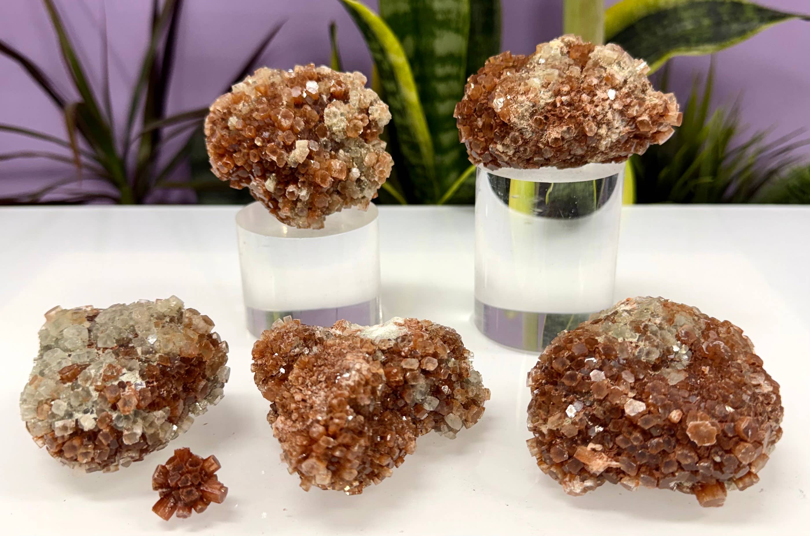KayleeNYC - Wholesale Spiritual Stone/Crystal - 2 lbs Natural Aragonite Cluster Raw Crystal3