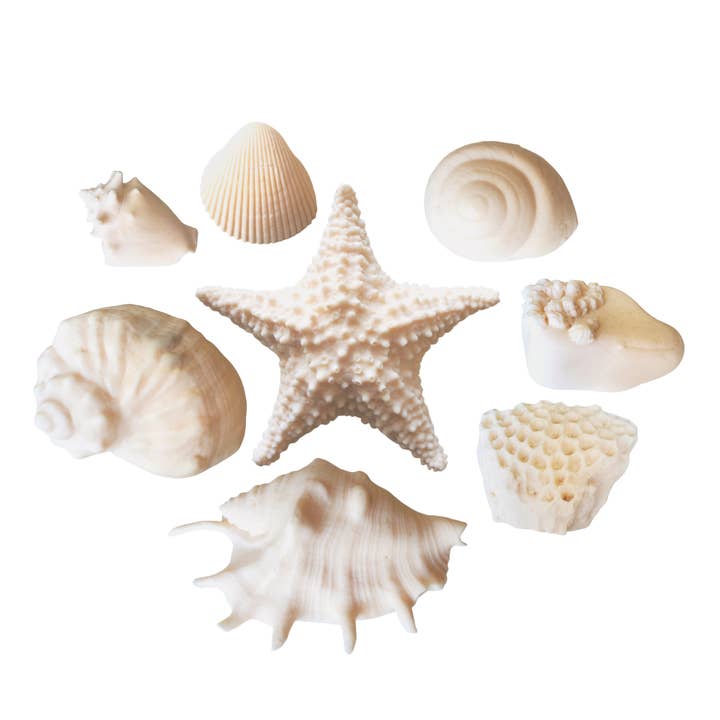 LOT DE 8 SAVONS - White Jasmin | Savon Seashell pour la vente par Seashell Soap