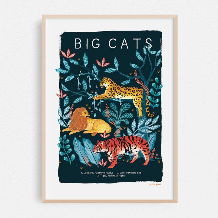 Big Cats Natural History Print Artists Print Wall Art for wholesale by Papio Press