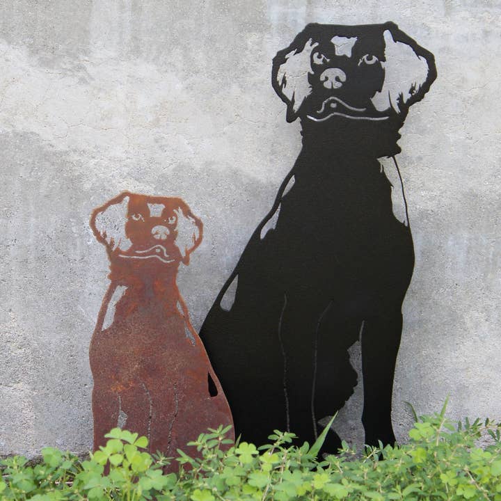 Épagneul bretany pour la vente par My Metal Rescue