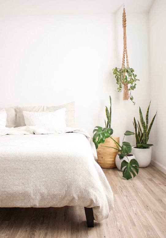 Common House Studio - Vendita all'ingrosso Vasi per piante - VASO ESSENZIALE | FIORIERA13