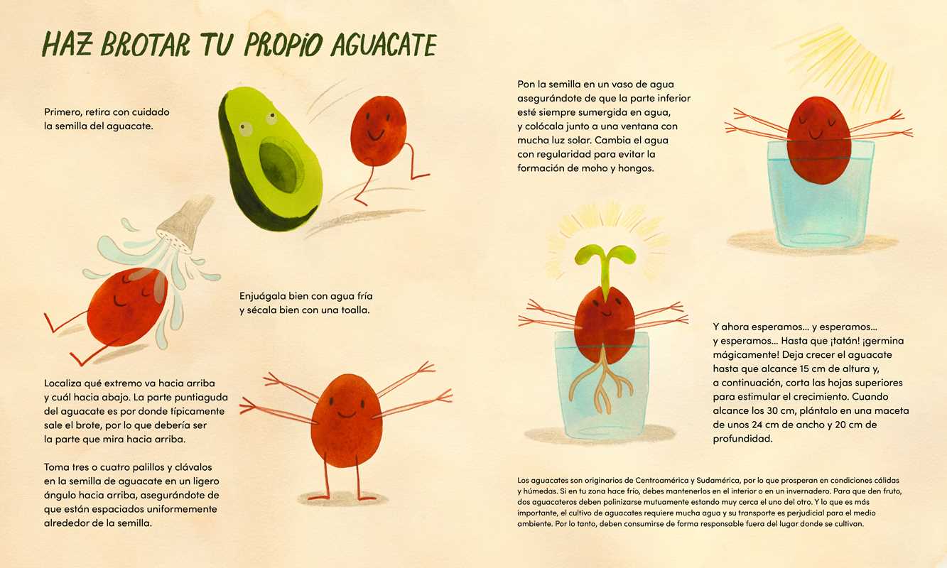 Simon & Schuster - Wholesale Preschool Book (3-5) - ¡Viva el aguacate! by Taltal Levi4