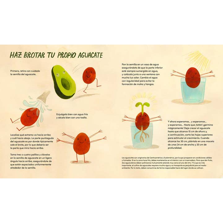 Simon & Schuster - Wholesale Preschool Book (3-5) - ¡Viva el aguacate! by Taltal Levi4