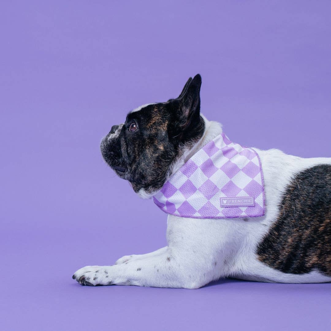 Frenchie - Wholesale Pet Bandana - Dog - Frenchie Cooling Bandana - Lavender3