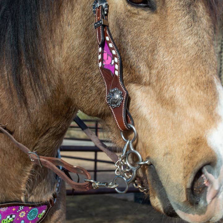 Schulz Equine - Wholesale Horseback Riding Gear - Neon Yeehaw Headstall and Breast Collar Set4