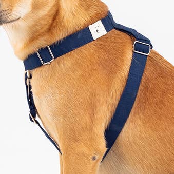 Dog Harness for wholesale by Kali Dogwear