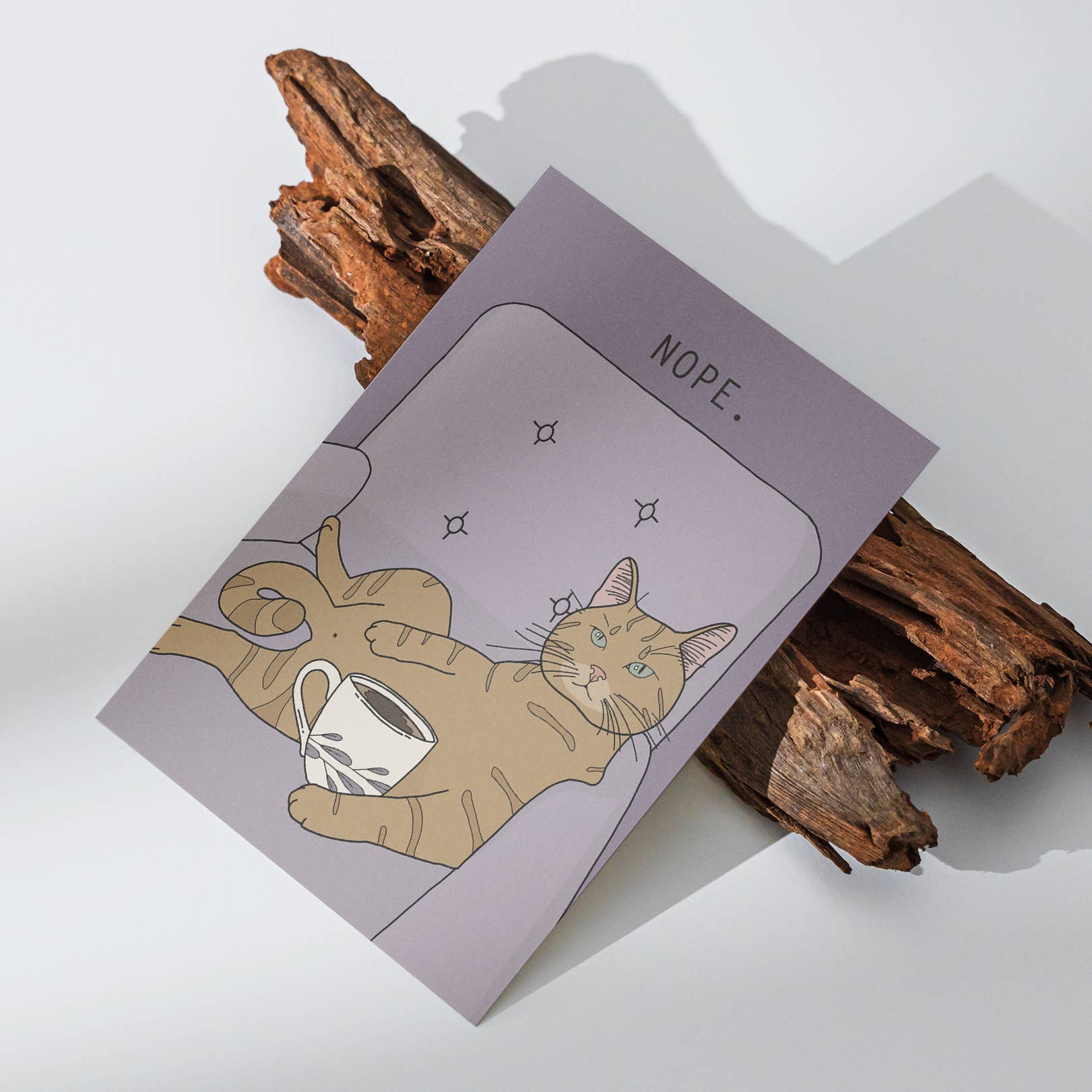 Rotberta - Wholesale Postcard - Postcard cat, nope1