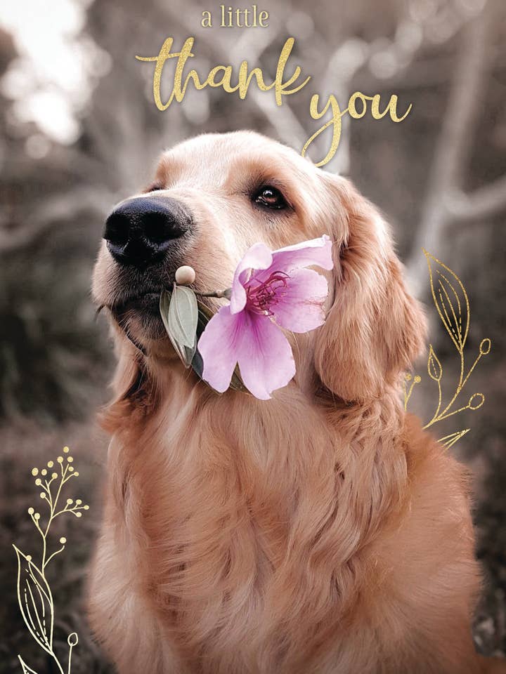 Jouet/chien avec fleur pour la vente par Greeting Cards by Norcard