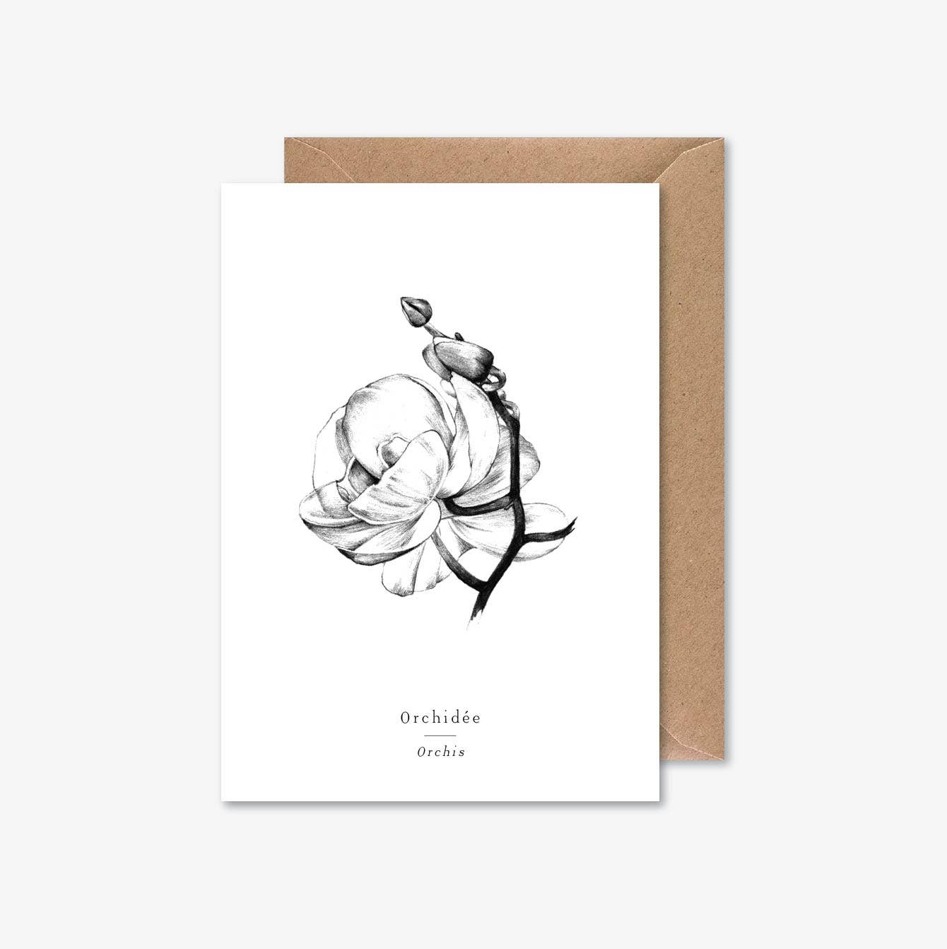 Papier Mirage - Wholesale Everyday Greeting Card - Orchid0