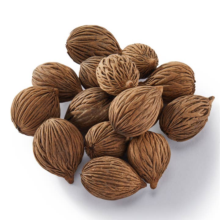 Maison - Wholesale Dried/Pressed Flowers - Vase & Bowl Fillers - Mini Mintola Balls