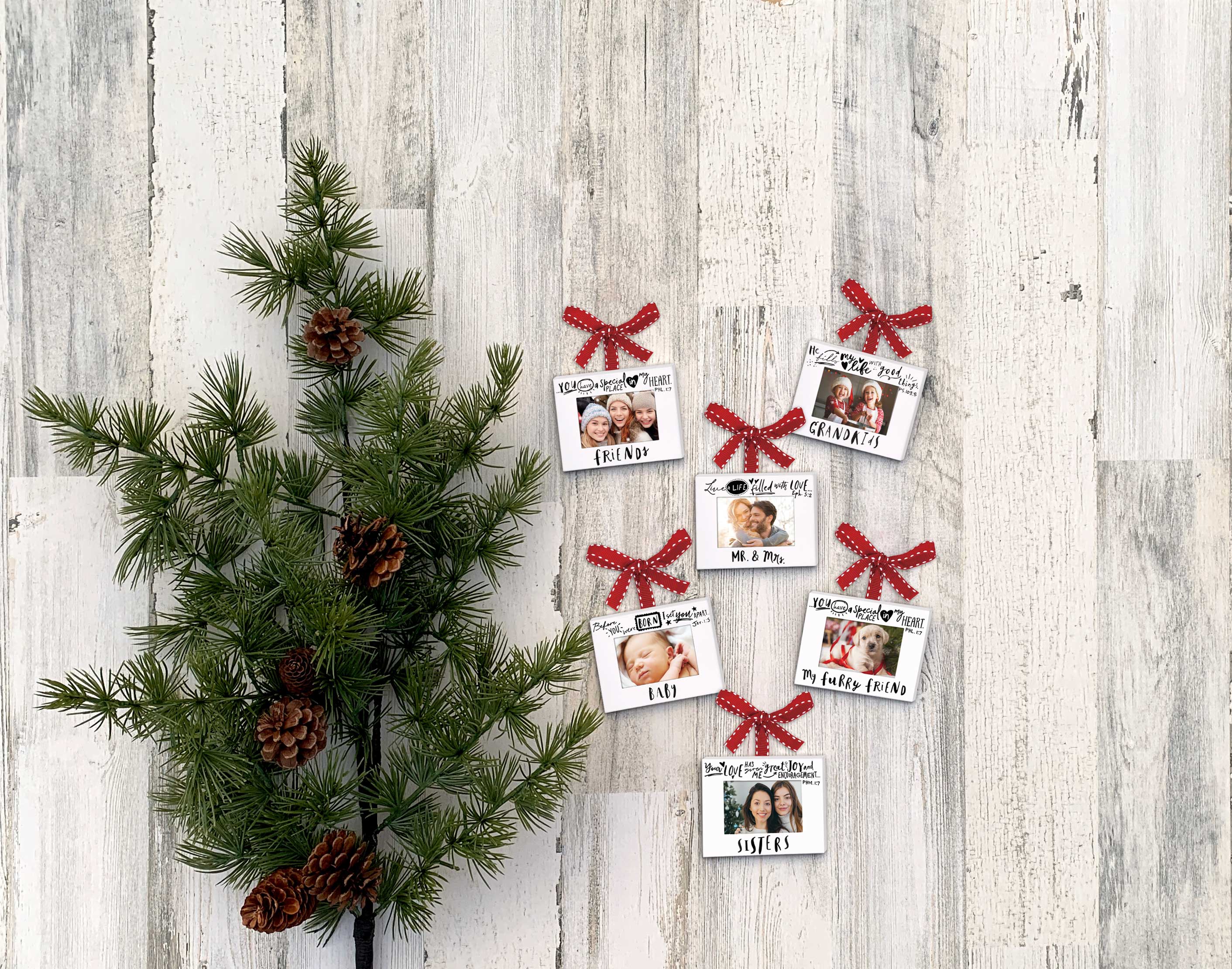 Dicksons - Vente Objets de décoration - 🎄 Cadre décoratif LCP Furry Friend à suspendre avec ruban1