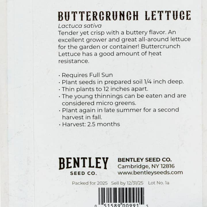 Bentley Seed Co. - Wholesale Plant Seeds - Lettuce-Buttercrunch Bib 19631