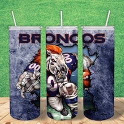 Denver Broncos Football NFL Straight 20oz Tumbler for wholesale by Purple Rose Wellness, LLC