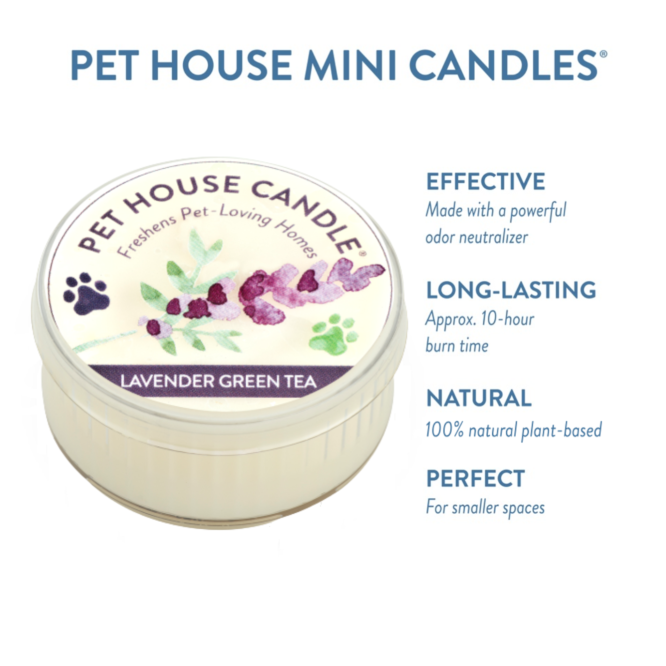 Pet House by One Fur All - Vente Bougies de voyage - Mini bougie Thé Vert Lavande 1,5 oz2