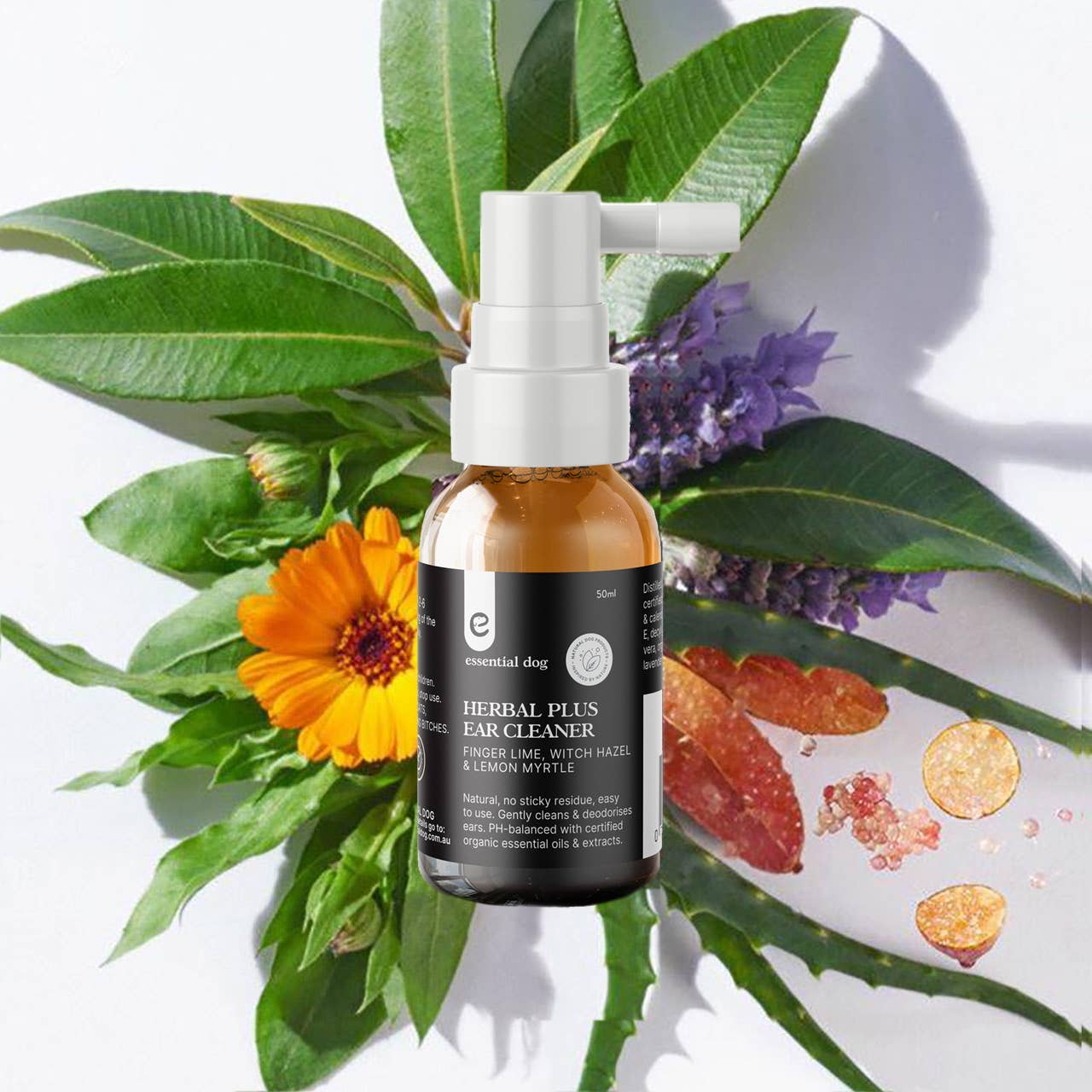 Essential Dog - Wholesale Pet paw protection - Dog Grooming Bundle Pack 13