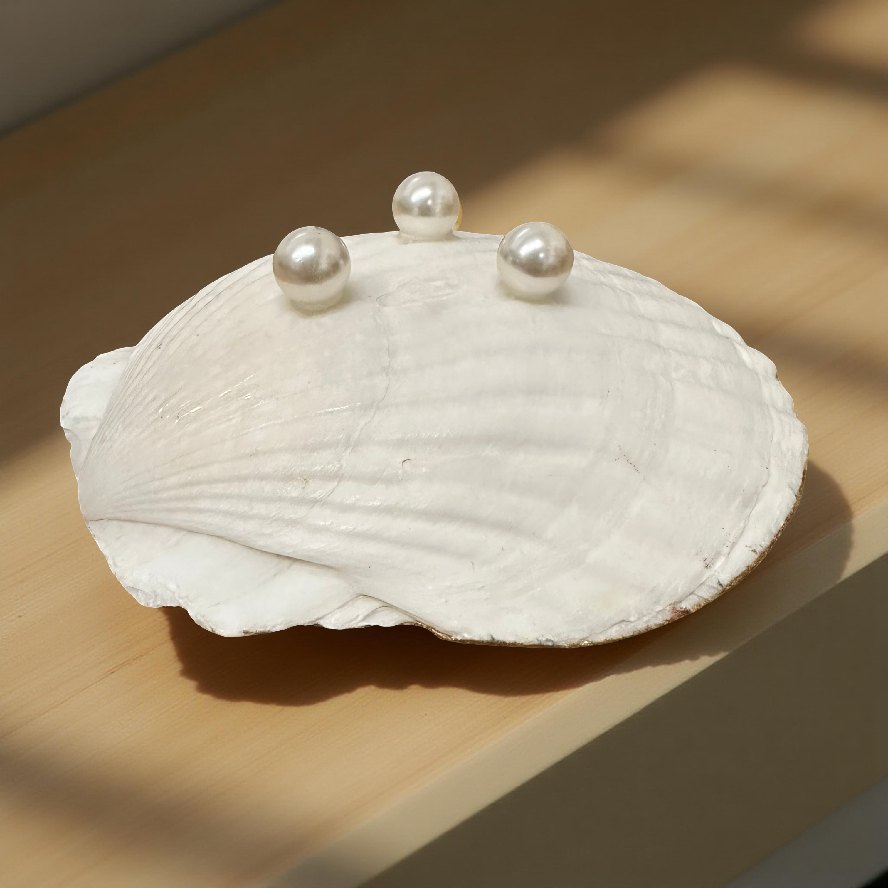 Shell Yeah By Jaks LLC – Großhandel Schmuckschalen – Perlenstern Jakobsmuschel Schmuckschale – Goldrand3