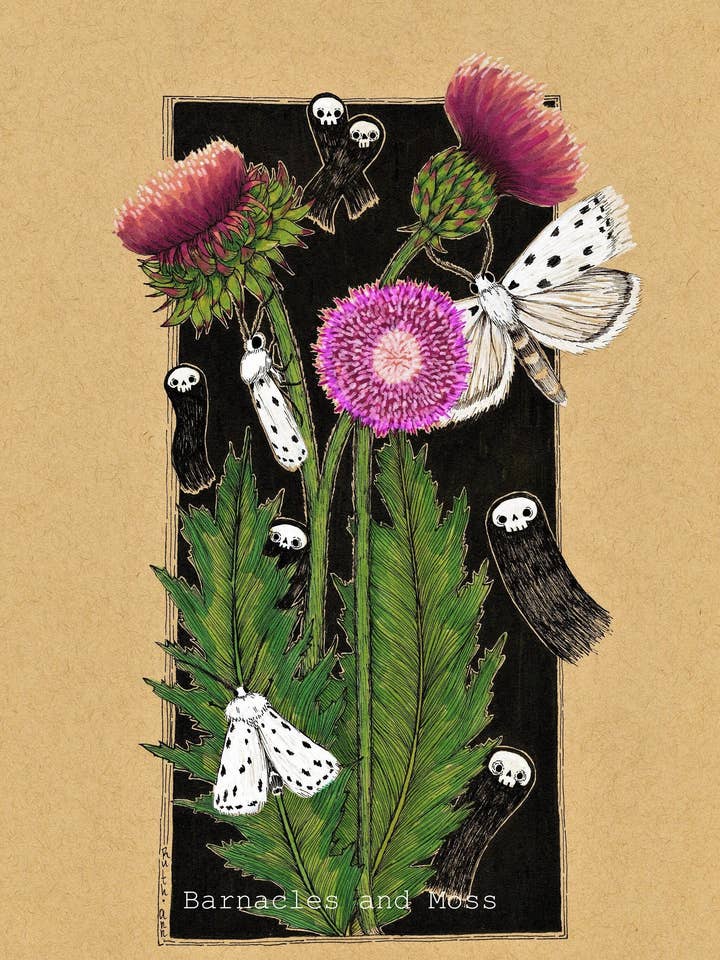 Thistle Ermine Fine Art Print for wholesale by Barnacles and Moss