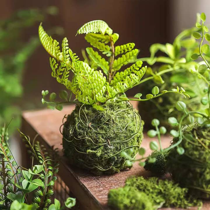Mossy Meadow Foam Ball and other Purchase Wholesale marimo moss balls. Free Returns & Net 60 Terms on Faire trending on Faire.