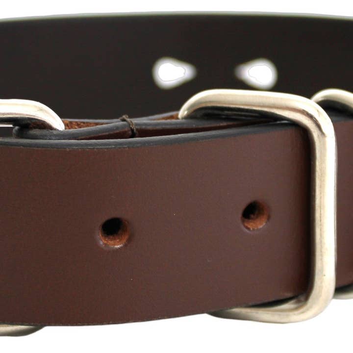 hide & chic - Wholesale Pet collar – Dog - Quality Full Grain Leather Dog Collar. Width: 30mm.5