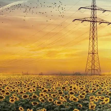 Books by splitShops - Wholesale Poetry & Drama - Running Commentaries: Rhymes for our Times - Paperback