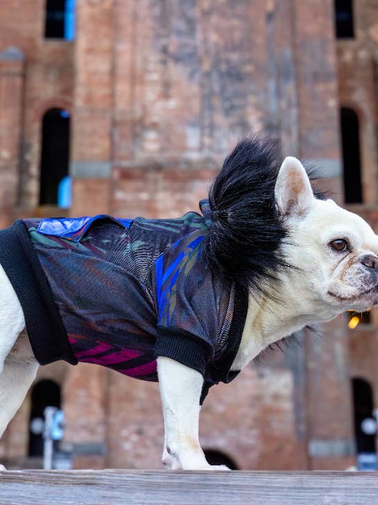 SWEAT À CAPUCHE COOGIE EN FOURRURE pour la vente par Maxine Avenue NYC by Funari