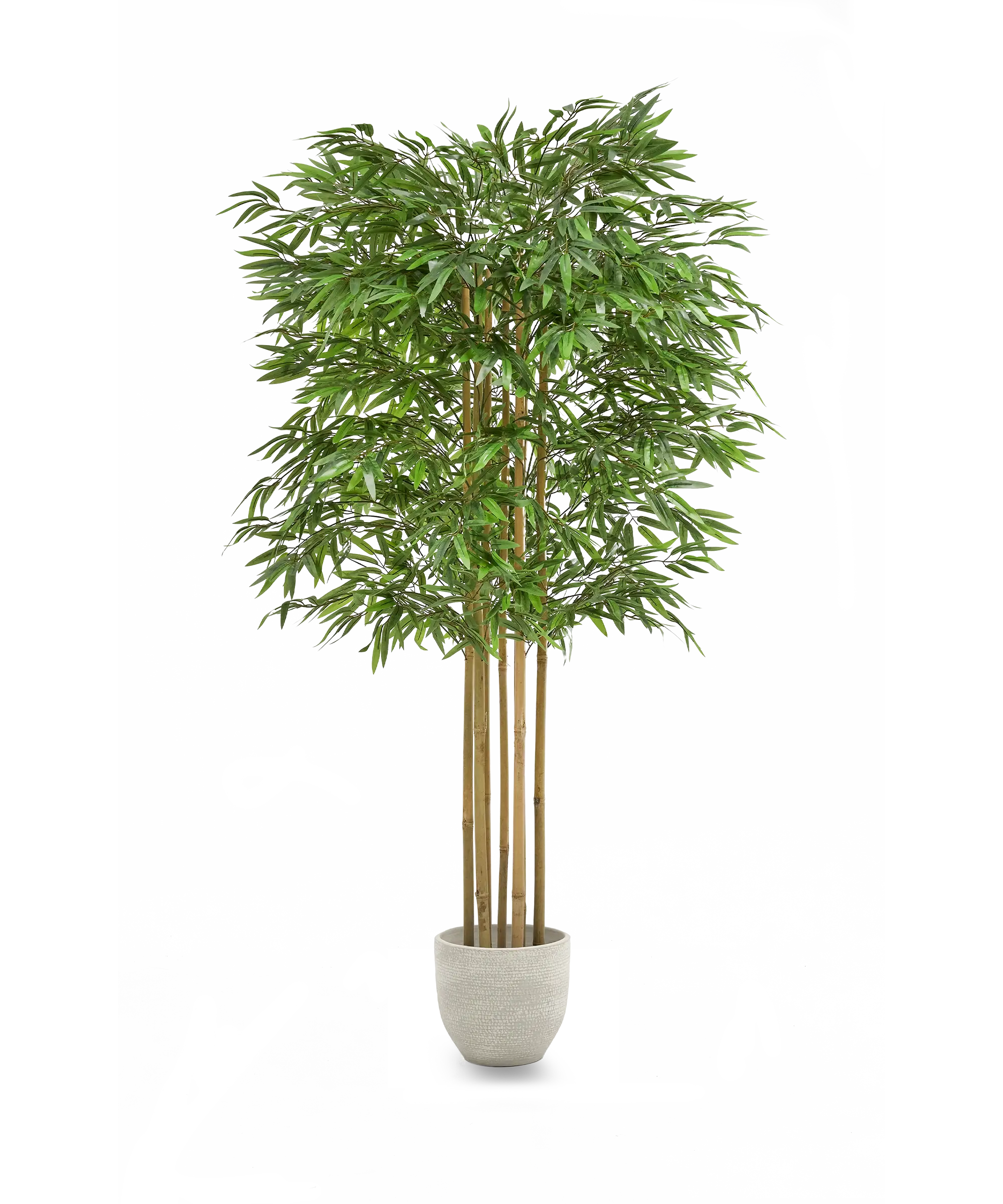Maia Shop – Großhandel Kunstpflanzen – Künstlicher Bambus 185 cm - Maia Shop6