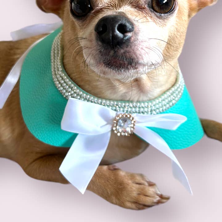 Sniffany Blue Neck Collar- Dog Neck Collar for wholesale by Bark Fifth Avenue