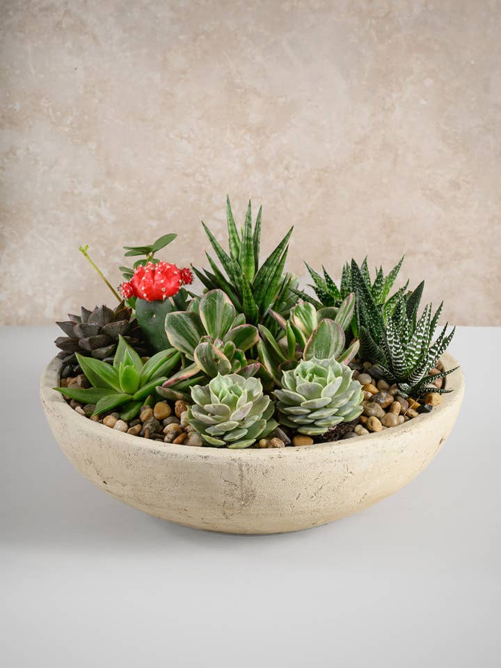 Coupe centre de table en grès Amadora, ton sable, 12 pouces de large pour la vente par Jamali Garden