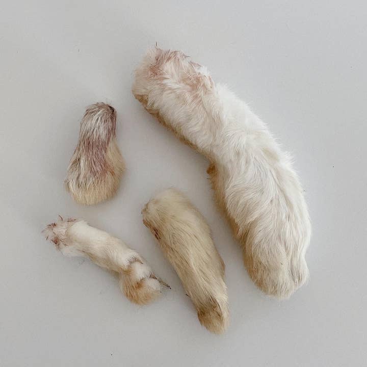 Wild n Fresh Treats - Wholesale Pet Treats - Dog - Dehydrated Rabbit Feet8