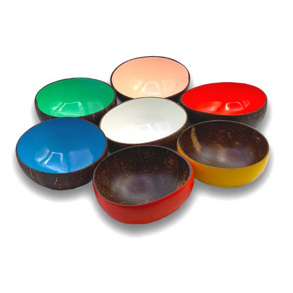 Ciotola dipinta in guscio di cocco per la vendita all'ingrosso da parte di Bamboo Spirit