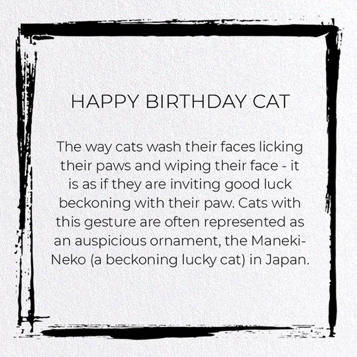 Ezen Trade - Vendita all'ingrosso Biglietti di auguri - HAPPY BIRTHDAY CAT: Biglietto di auguri giapponese