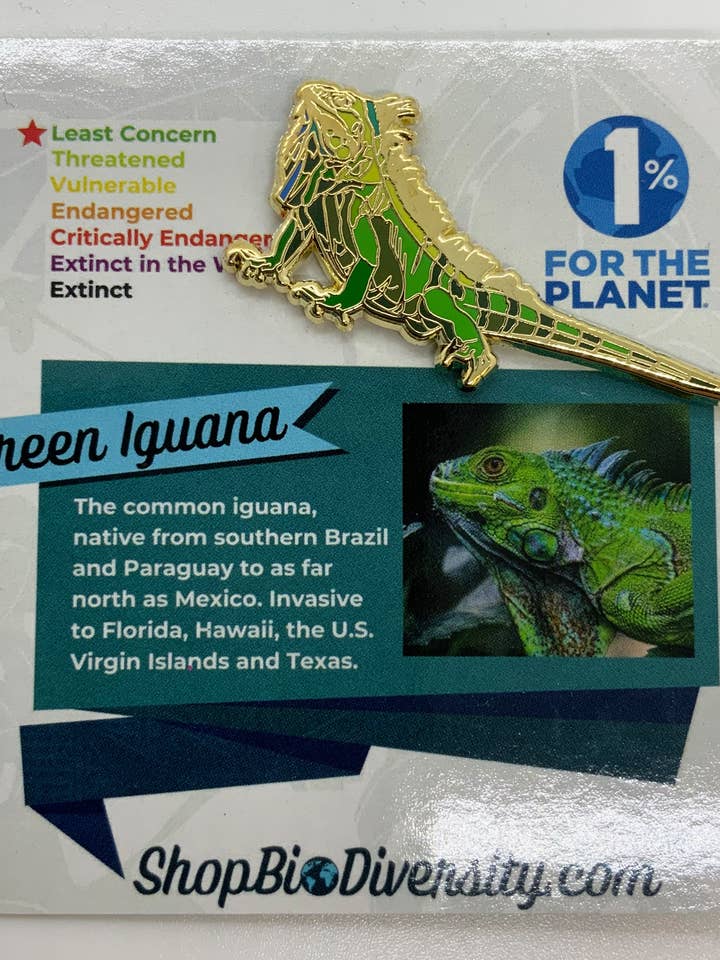 Alfinete de esmalte Iguana Verde - Impressionante Pino de Réptil com Acento Dourado por atacado de Shop BioDiversity