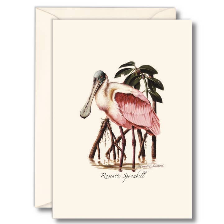 Earth Sky + Water - Wholesale Stationery/Notecard Set - Roseate Spoonbill