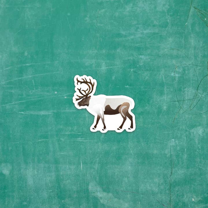 Wren and the Raven - Wholesale Magnet - Wildlife Magnets1